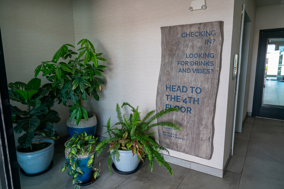 Four potted plants sit in a corner next to a wooden sign that directs guests to the 4th floor for check-in, drinks, and vibes.
