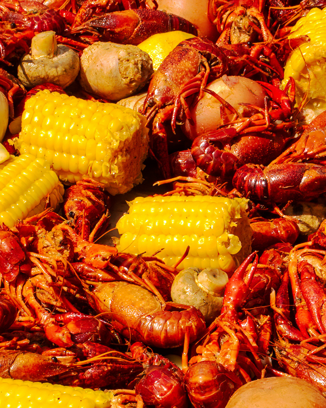 Cajun crawfish boil featuring yellow corn on the cob, red potatoes, mushrooms, and whole crawfish, all closely arranged for a true taste of the Big Easy.